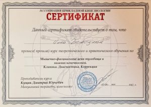 М'язово-фасціальні ланцюги тулуба та нижніх кінцівок. Травень 2017р. М'язово-фасціальні ланцюги тулуба та нижніх кінцівок. Травень 2017р.